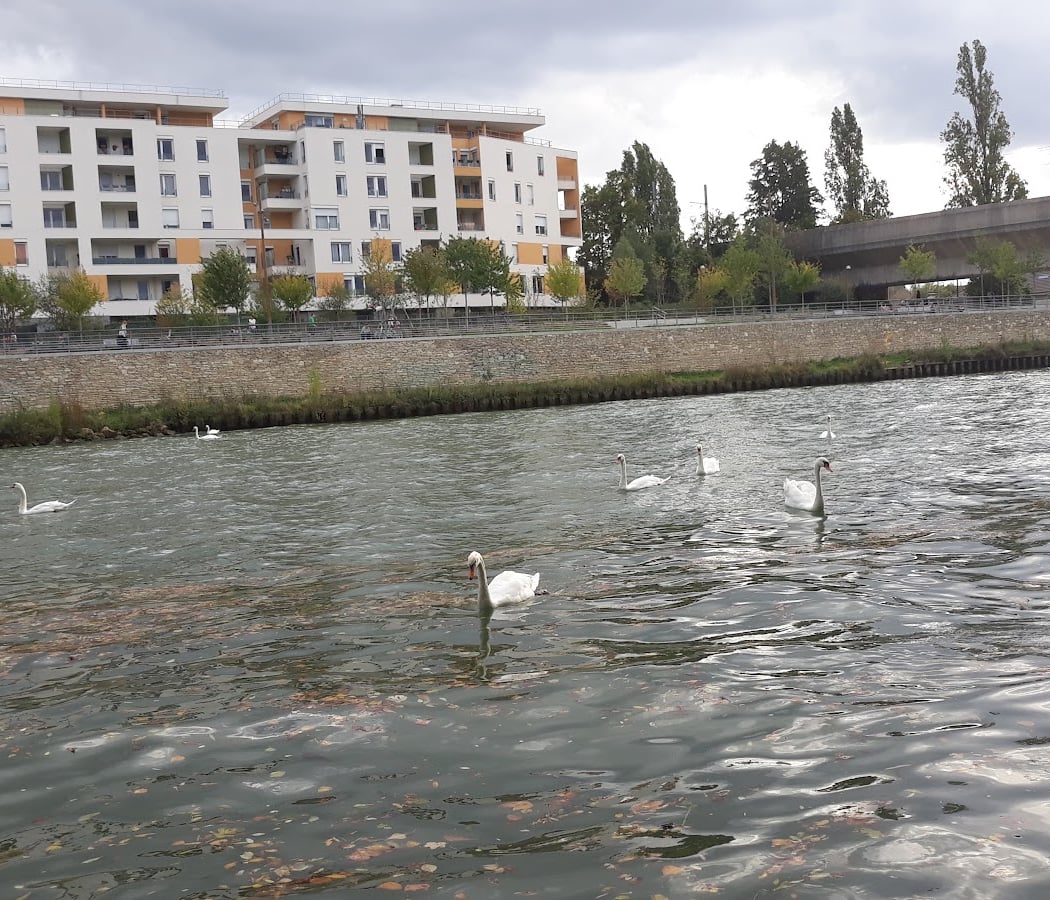 Aire De Jeux Des Bords De Marne 3